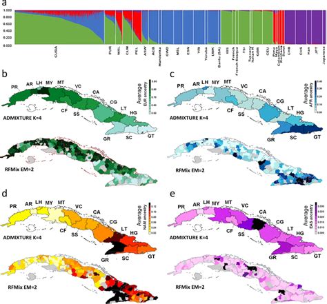 cuban dna results|(PDF) Exploring Cuba’s population structure and.